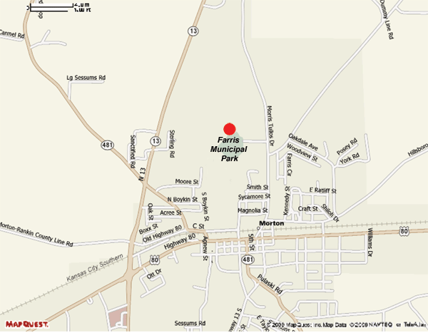 Land For Sale Morton Ms